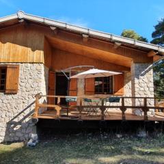 Chalet privé au Mont-Serein ventoux