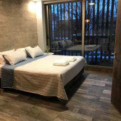 Excelente Apartamento, a metros del Parque San Martín!