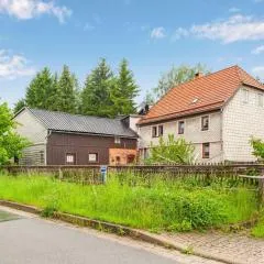 Apartment in Benneckenstein near Ski Lift
