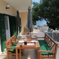 Apartment Borovi with terrace and parking Podaca
