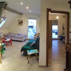 Appartement de 2 chambres avec terrasse amenagee et wifi a Lohr