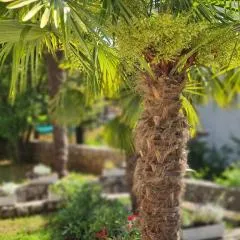 Apartment Garden & Sea
