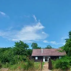 Dada House Nature Holiday