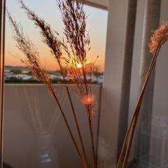 Ferienpark H01-003 Ferienpark