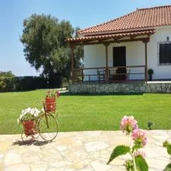Dora Property