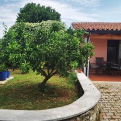 NORA home