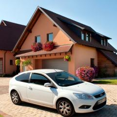 Maison de 2 chambres avec jardin amenage et wifi a Ebersheim