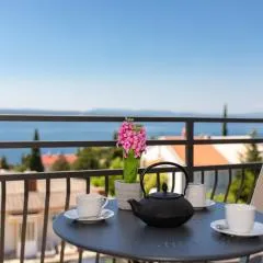 Apartments Ani