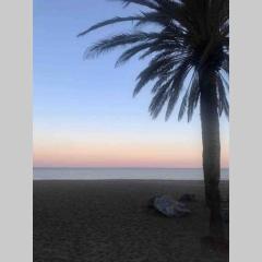 Apartment in 1st line beach