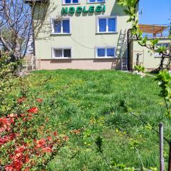 Homestay Stróżówka