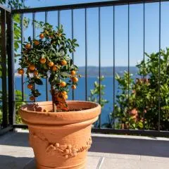 Apartment Lea