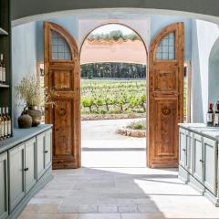 Domaine Rabiega - Vineyard and Boutique hotel