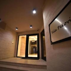 Apartman Green Lux - Balkan Hil 1