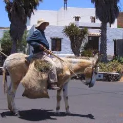 Finca Lanzarosy
