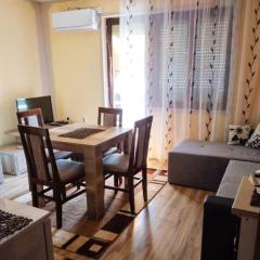 Studio Apartman Atila Sokobanja