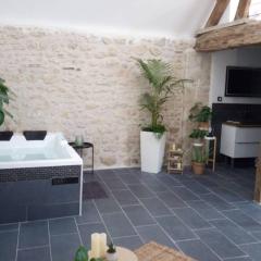 Maison privative, cocooning, zen , avec jacuzzi