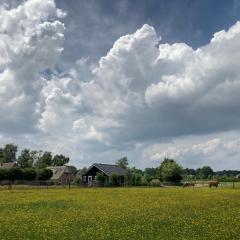 Buitenhuisje B&B De Veldweg