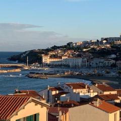 Attique à Banyuls - vue mer et montagne