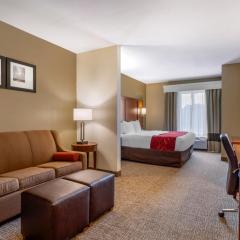 Comfort Suites North Knoxville