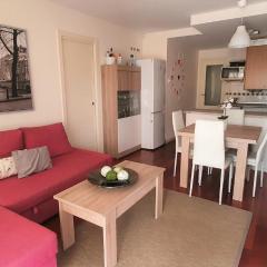 APARTAMENTO PIRINEO DE HUESCA, JACA, FORMIGAL, PANTICOSA