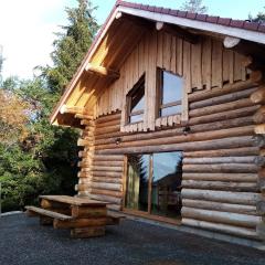 Chalet Authentique en Forêt, 6 Pers, Proche Gérardmer, Sentiers & Stations de Ski - FR-1-589-378