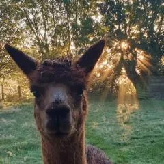 Aux murmures de la nature B&B