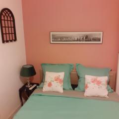 Perona gîte visite Châteaux de Loire et zoo parc Beauval