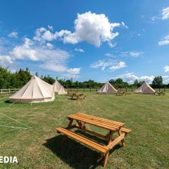 Bell tent glamping at Marwell Resort