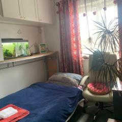 Cosy single room in London Wembley