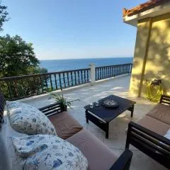 Villa Zisi