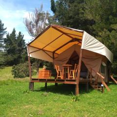 Glamping Verde 360