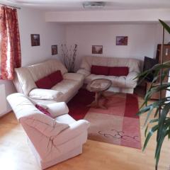 OUR WAY S apartment with two aircos and own garage