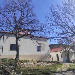 Park Istra holiday home