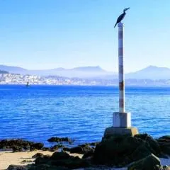 Niño do corvo Casa Moaña Cangas
