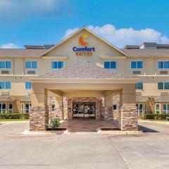 Comfort Suites North Dallas