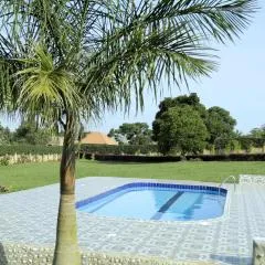 Kaz Breeze Gardens