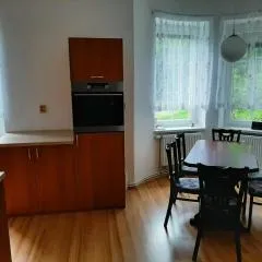 Apartmán vila Vítkovice