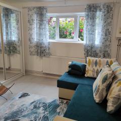 Garsoniera cocheta zona Coresi mall