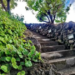 Casas do Tareco