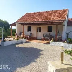 Traditional town house
