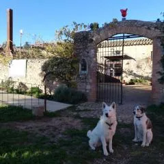 Mas Del Llop Blanc - Dog friendly Hostal Rural - B&B