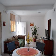 Brisas del Parque II