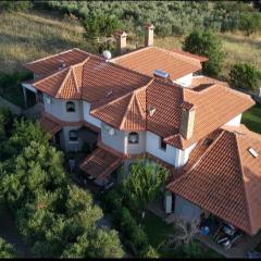 Alice Wonderland Home Nea Flogita Halkidiki