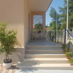 B&B La pineta