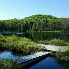 Whole home, private lake, sauna, WFH office