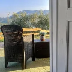 Cilento Homes
