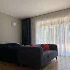 Apartamentai: Pajūrio smėlis