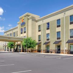 Comfort Inn & Suites Lynchburg Airport - University Area