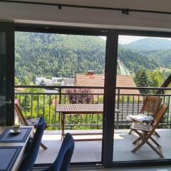 Apartament Marmurowy w Szczyrku z widokiem na góry z dostępem do sauny i jacuzzi w weekendy , dwa miejsca parkingowe