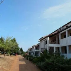 Apartments in Pavicini - Istrien 40814